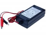 Automatyczna ładowarka do NiCd/NiMH 12V do 24V